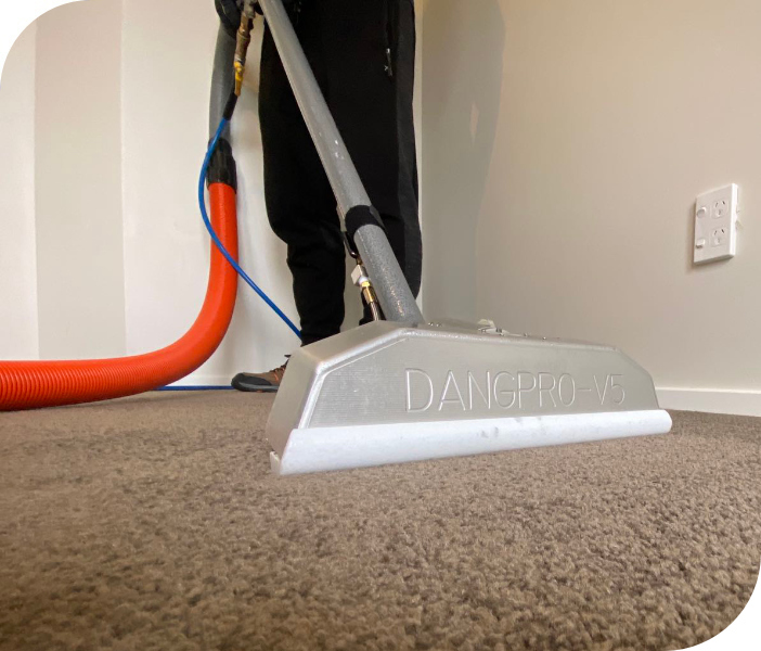 Carpet & Upholstery Cleaning Company Castor Bay, Silverdale